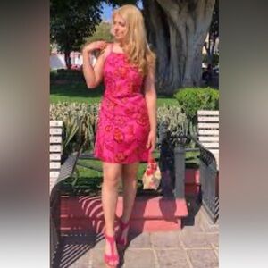 Ann Taylor Fuchsia Fabric with Black Label